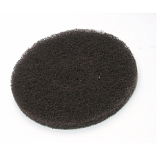 FILC 254 BRAON MS FILC 254 BRAON MS